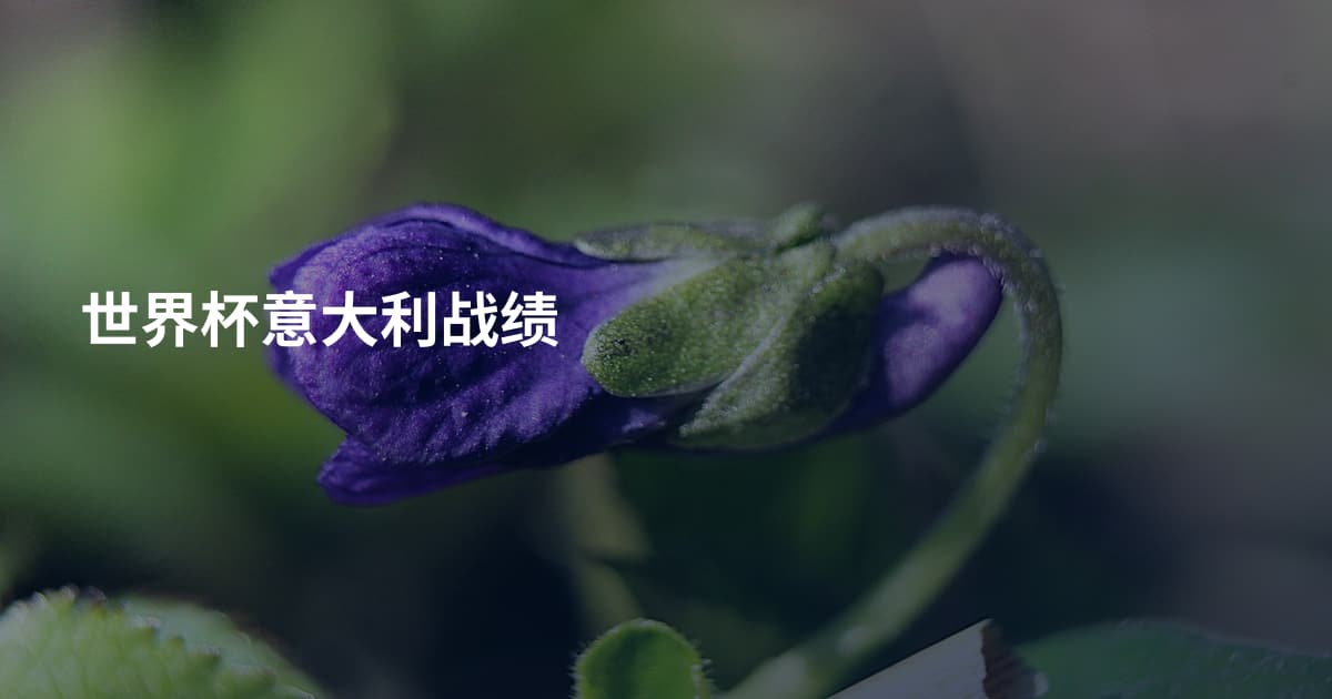 世界杯意大利战绩