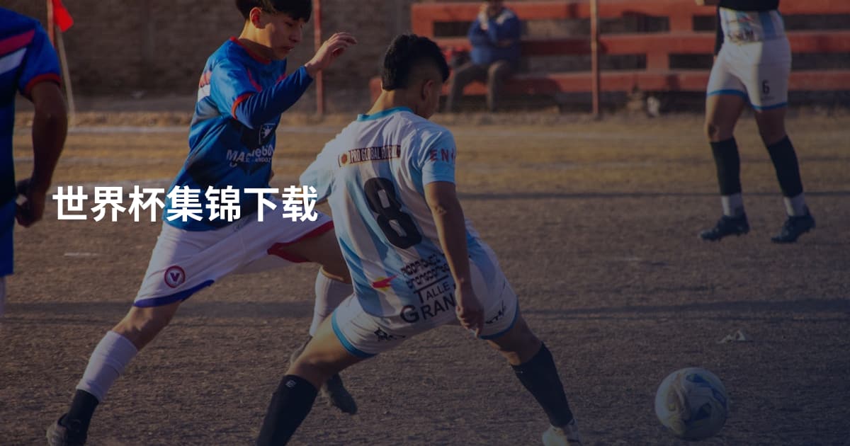 世界杯集锦下载