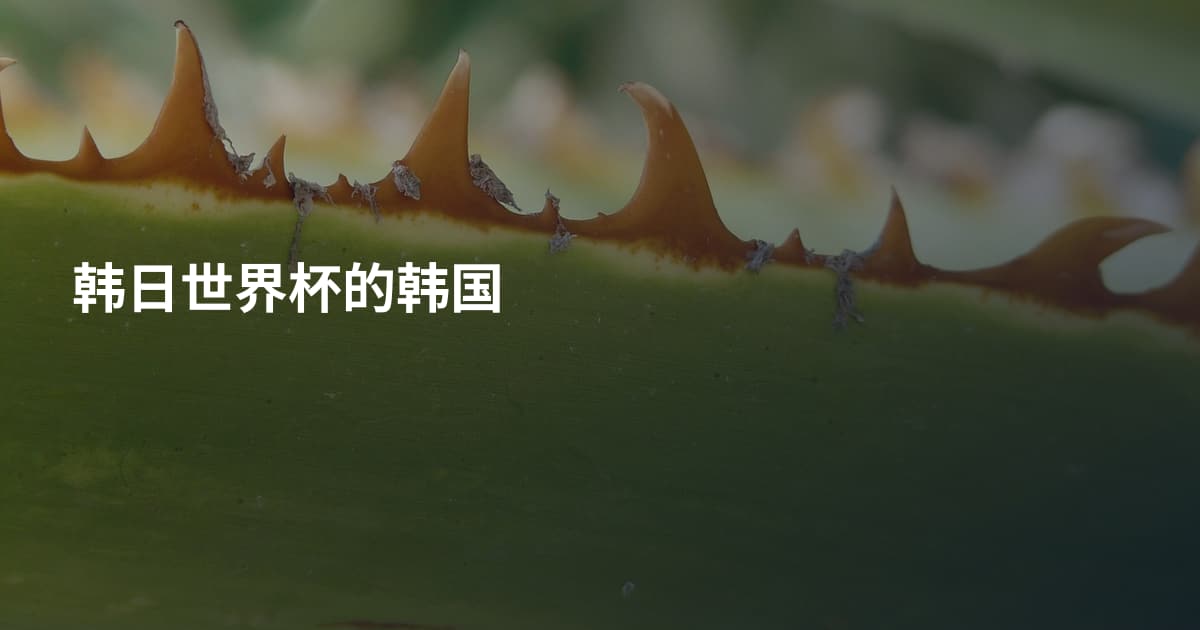 韩日世界杯的韩国