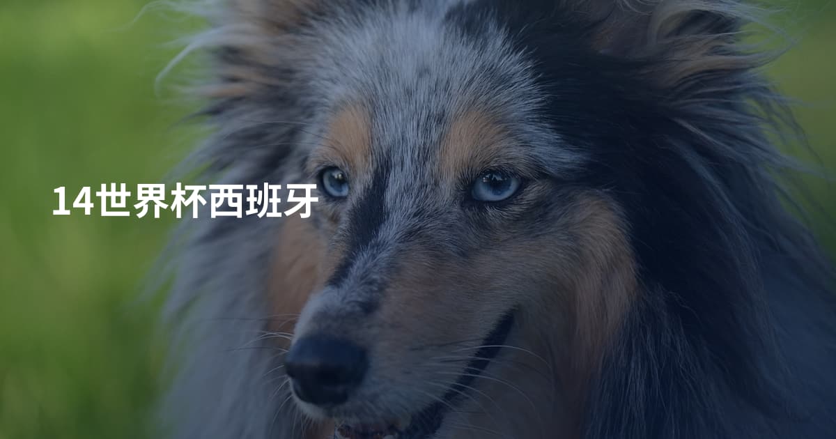 14世界杯西班牙
