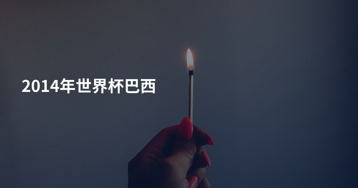2014年世界杯巴西