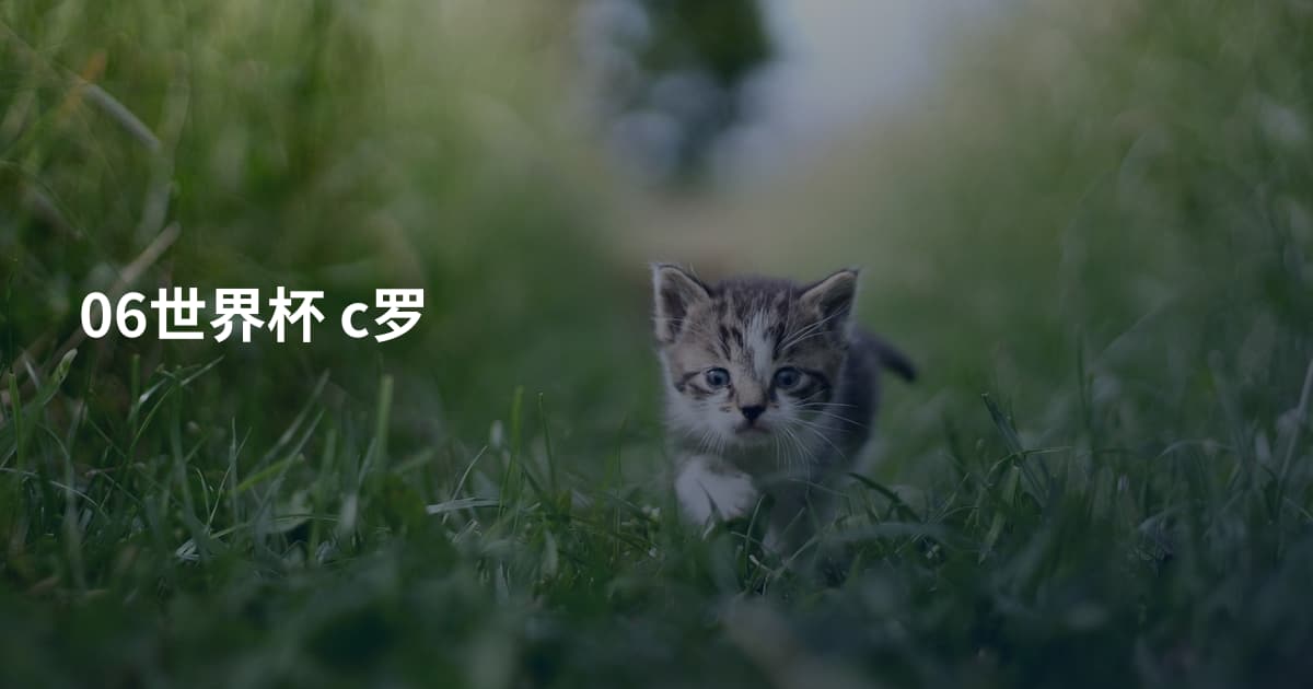 06世界杯 c罗