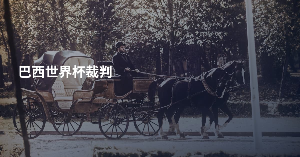 巴西世界杯裁判