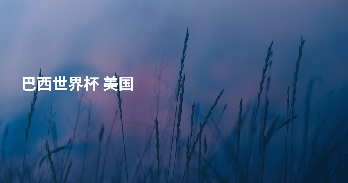 巴西世界杯 美国