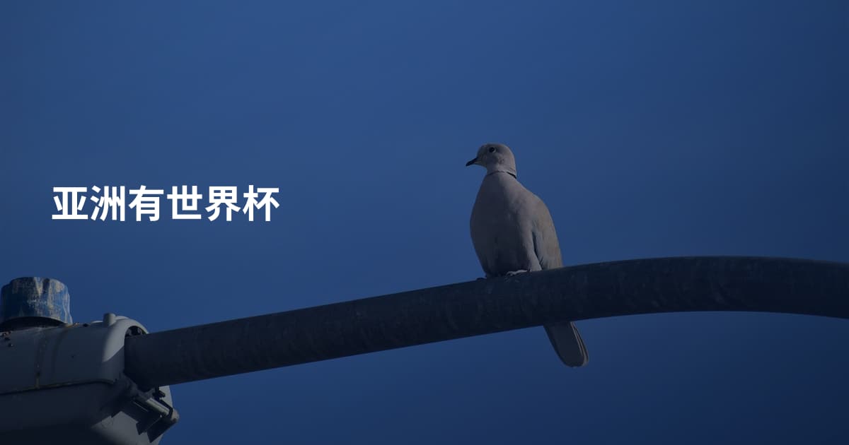 亚洲有世界杯