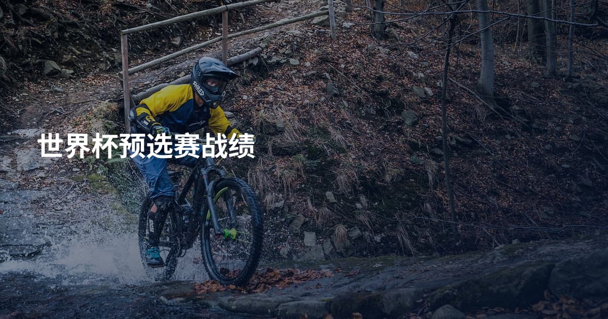 世界杯预选赛战绩