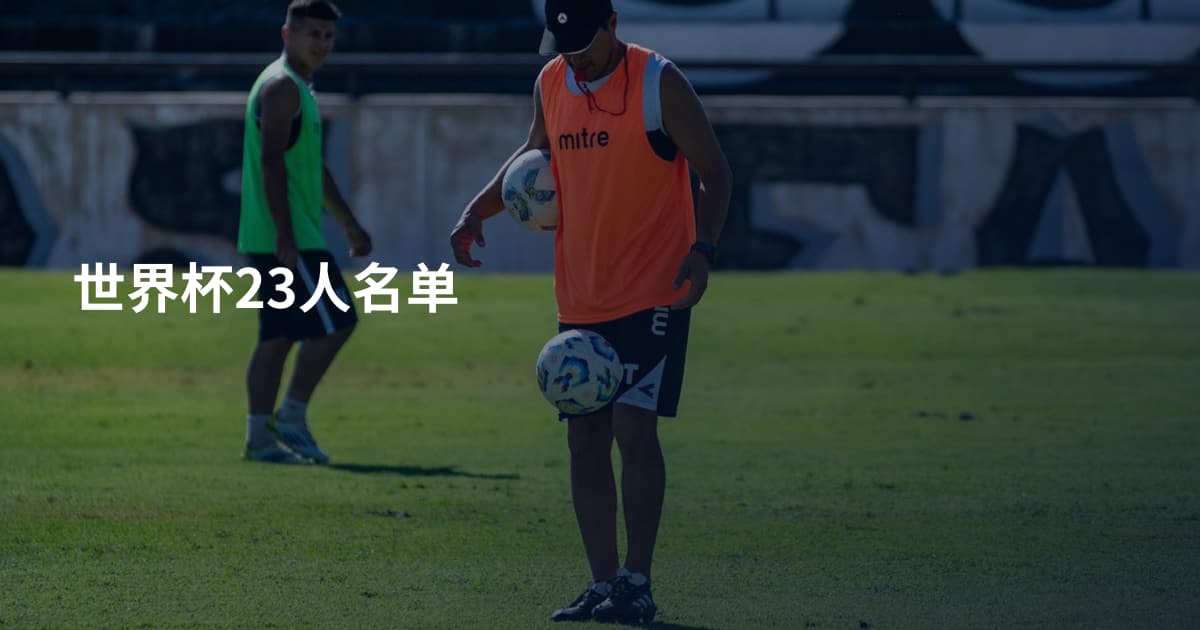 世界杯23人名单