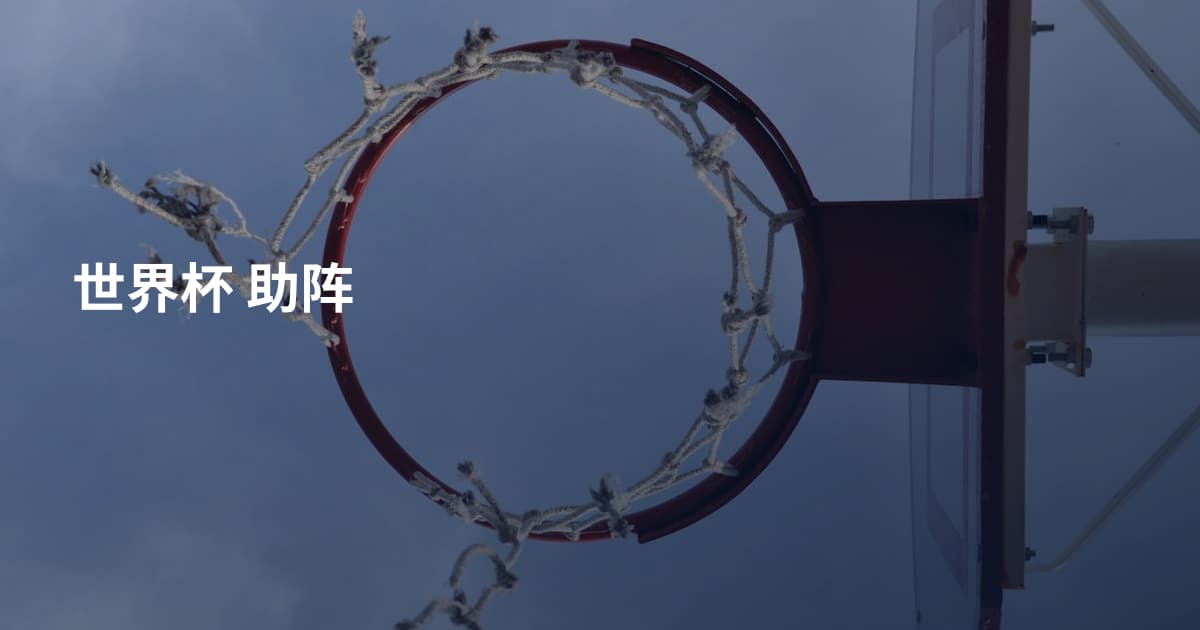 世界杯 助阵