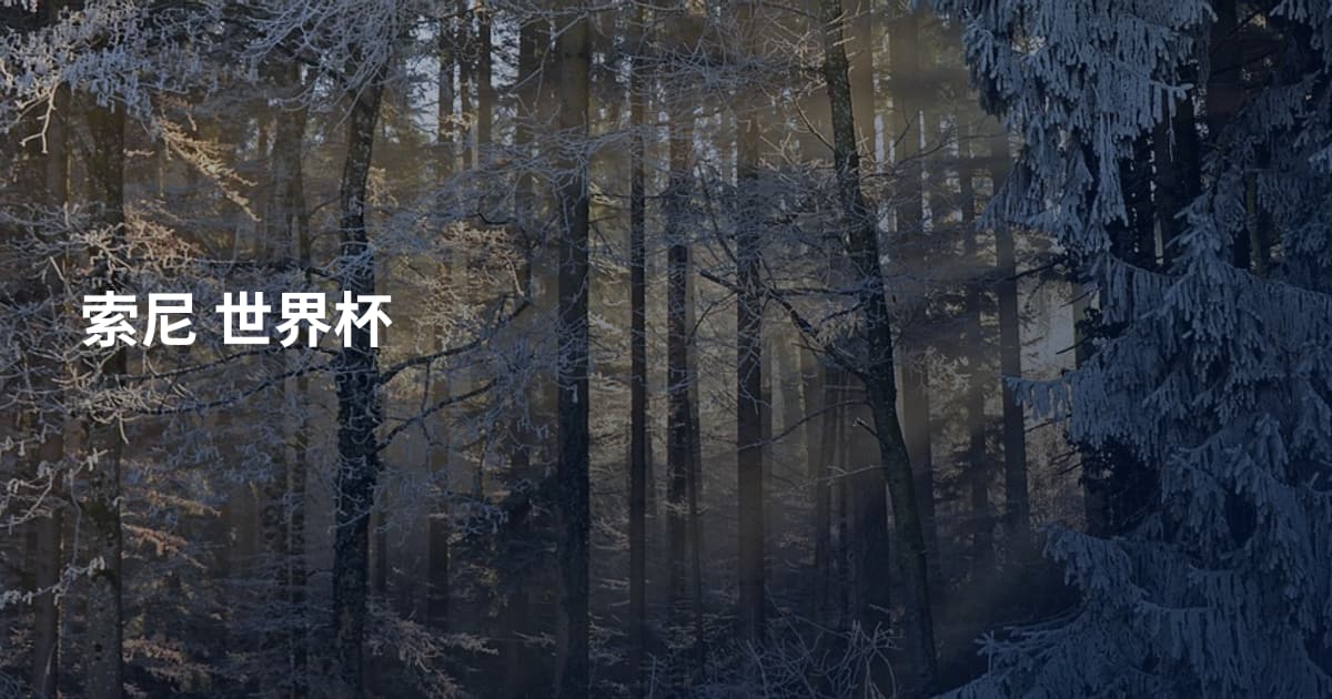索尼 世界杯