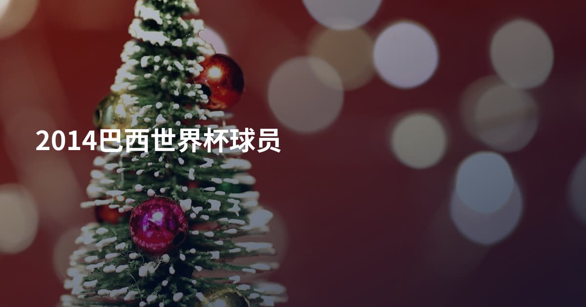 2014巴西世界杯球员