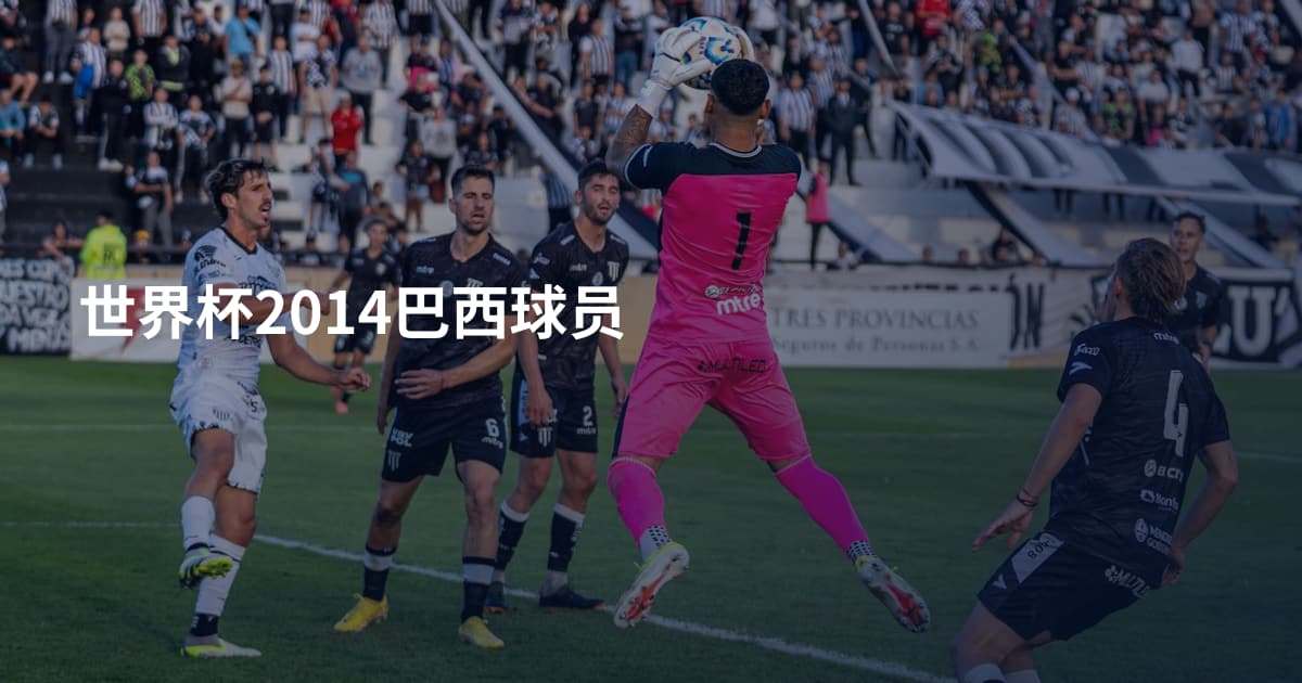 世界杯2014巴西球员