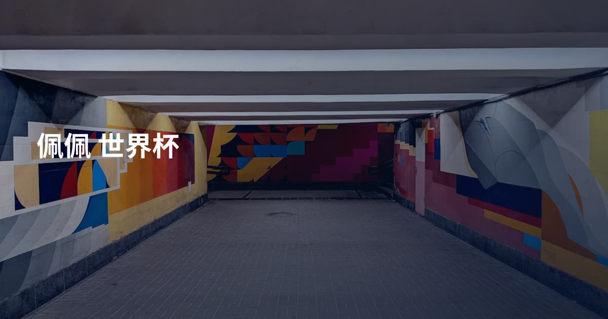 佩佩 世界杯