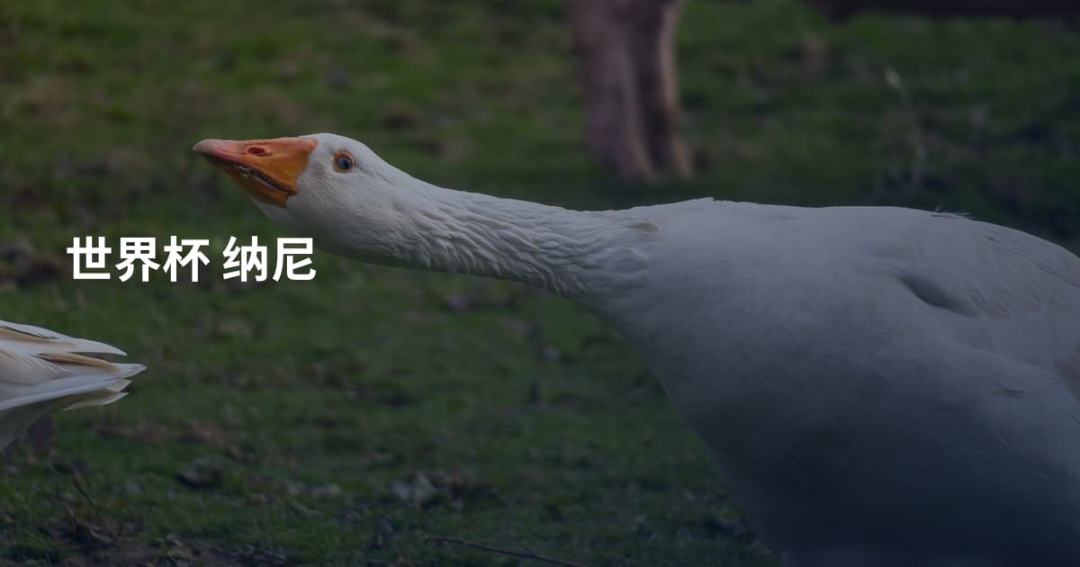 世界杯 纳尼