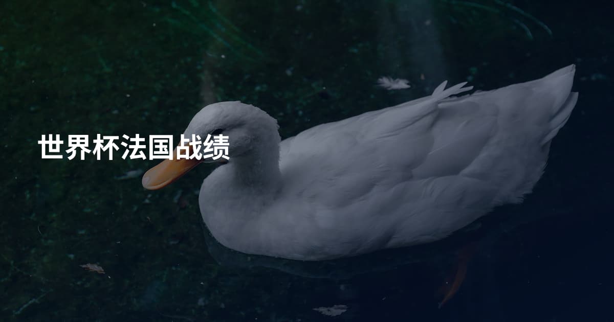 世界杯法国战绩