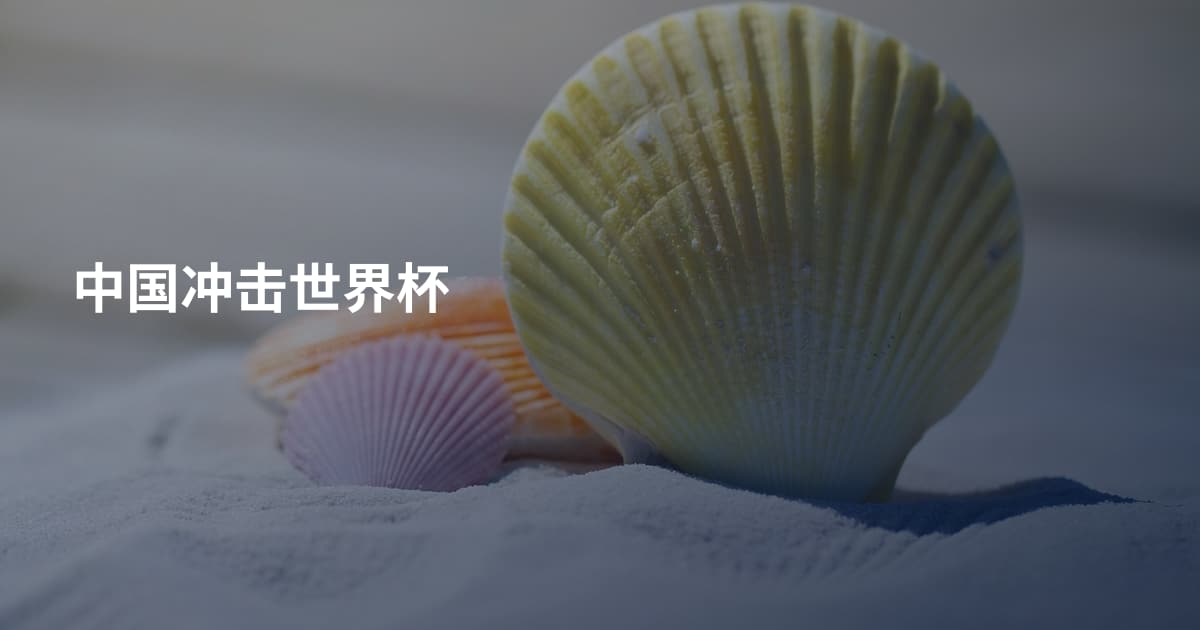 中国冲击世界杯