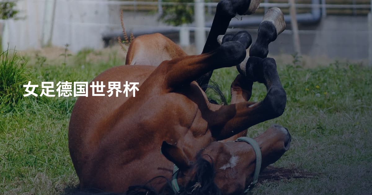 女足德国世界杯