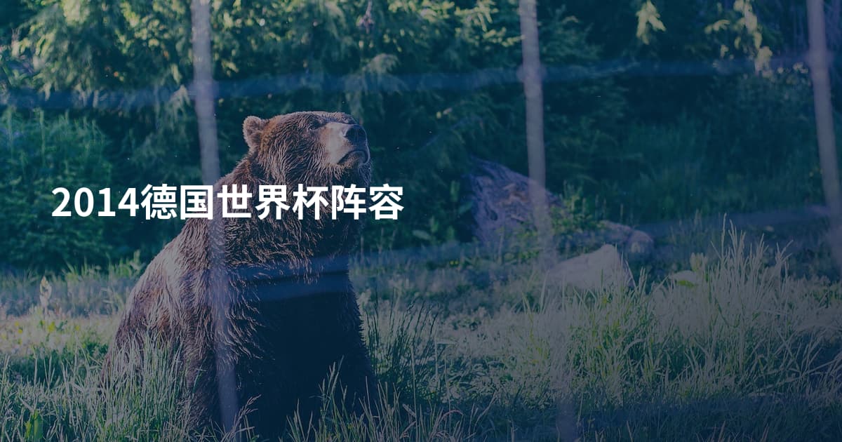 2014德国世界杯阵容