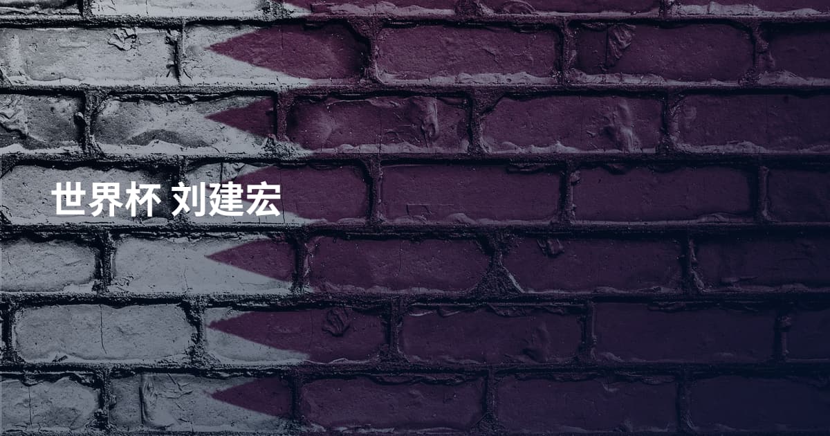 世界杯 刘建宏