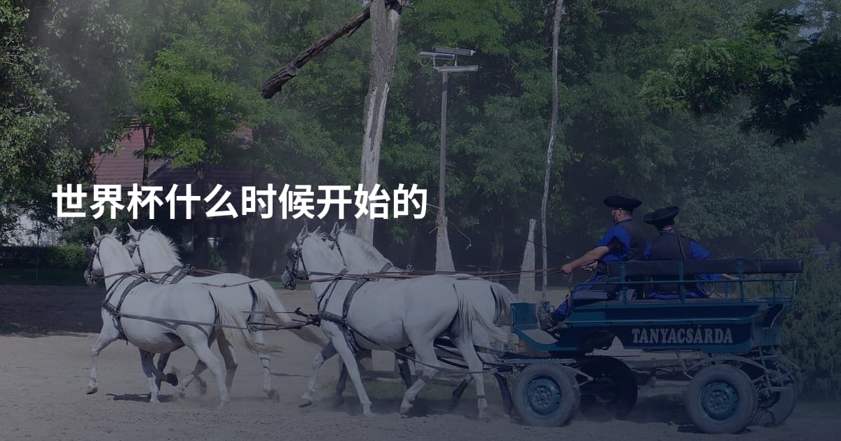 世界杯什么时候开始的