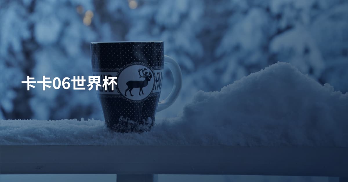 卡卡06世界杯