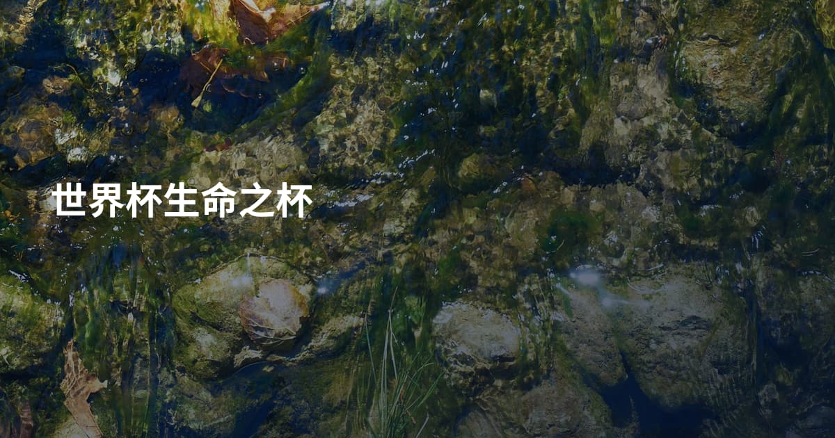 世界杯生命之杯