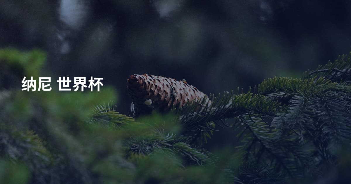 纳尼 世界杯