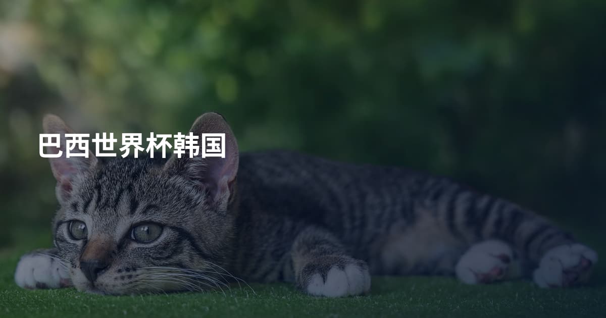 巴西世界杯韩国