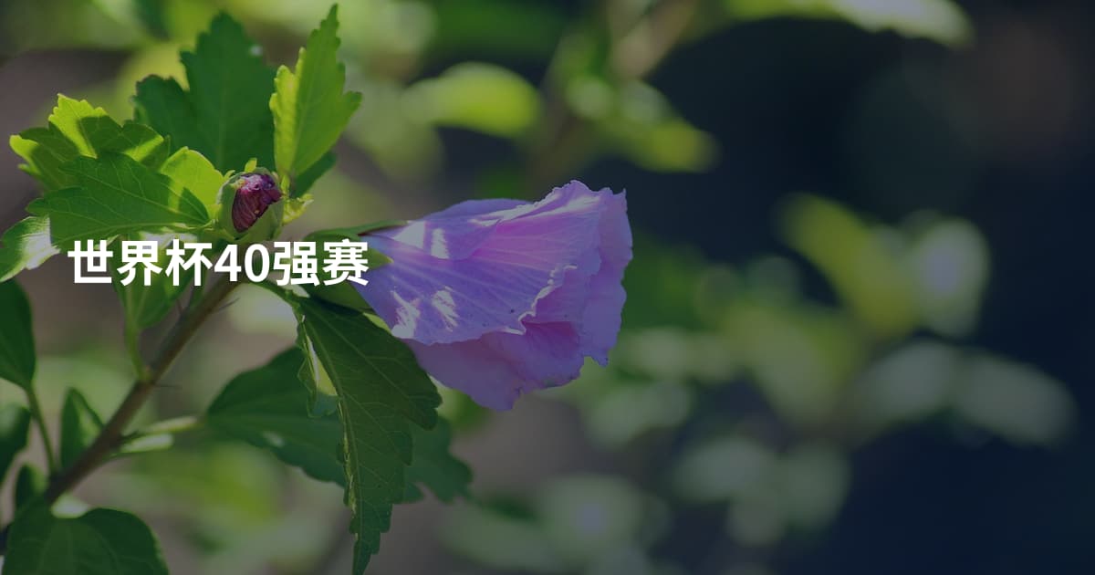 世界杯40强赛