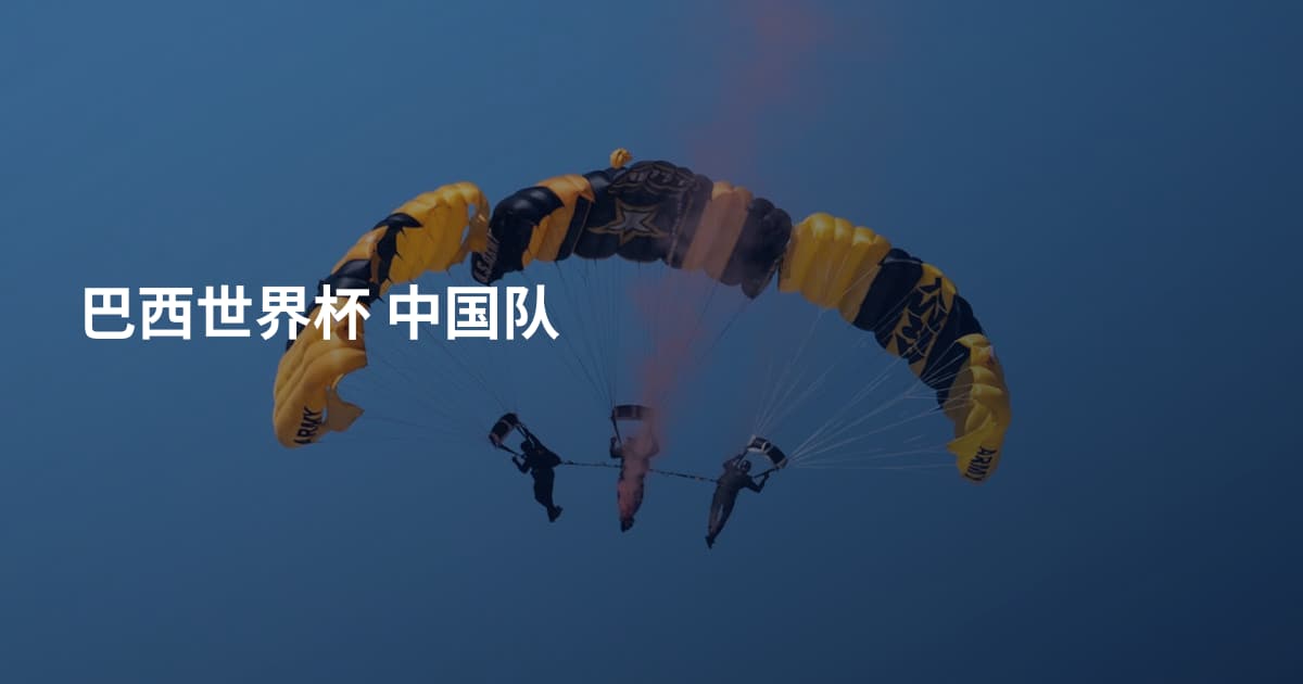 巴西世界杯 中国队