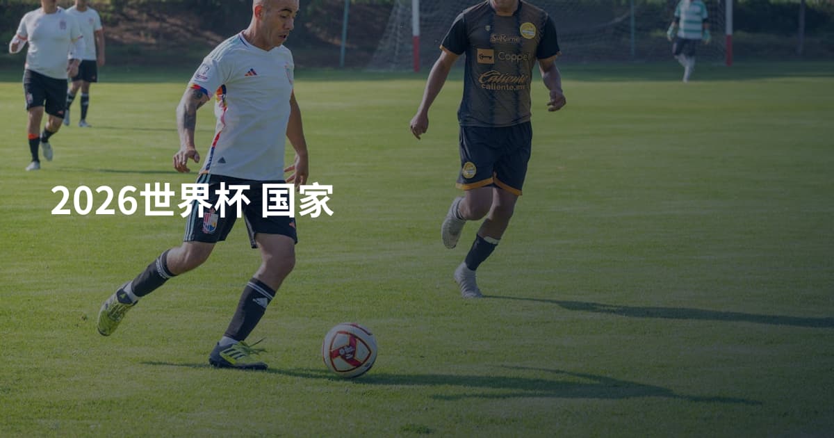 2026世界杯 国家