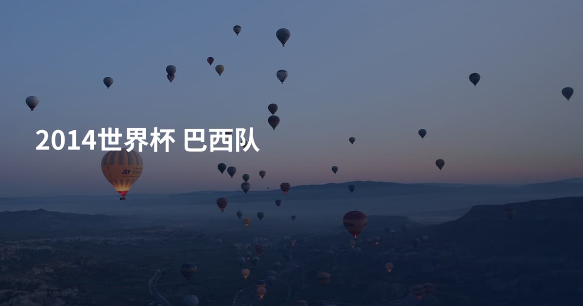 2014世界杯 巴西队