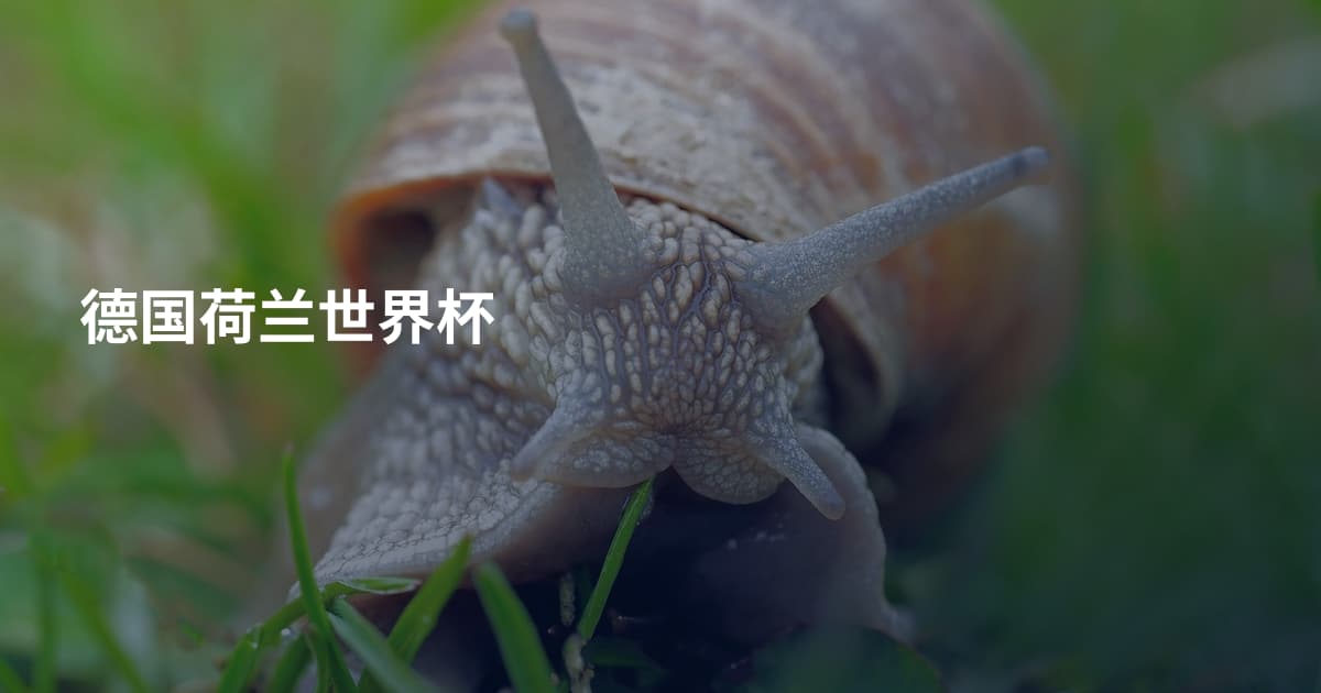 德国荷兰世界杯