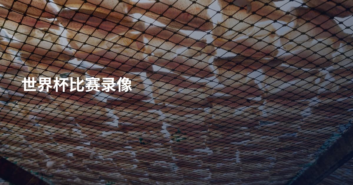世界杯比赛录像