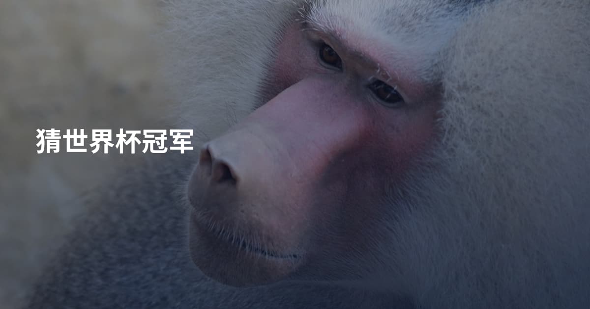 猜世界杯冠军