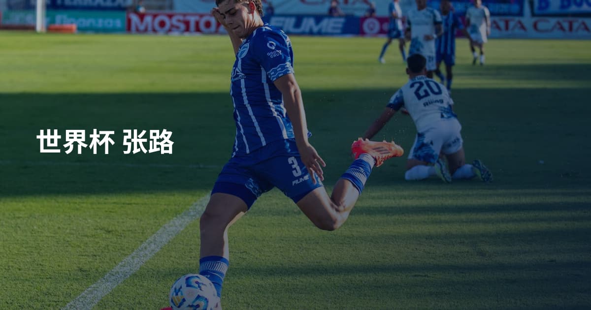 世界杯 张路