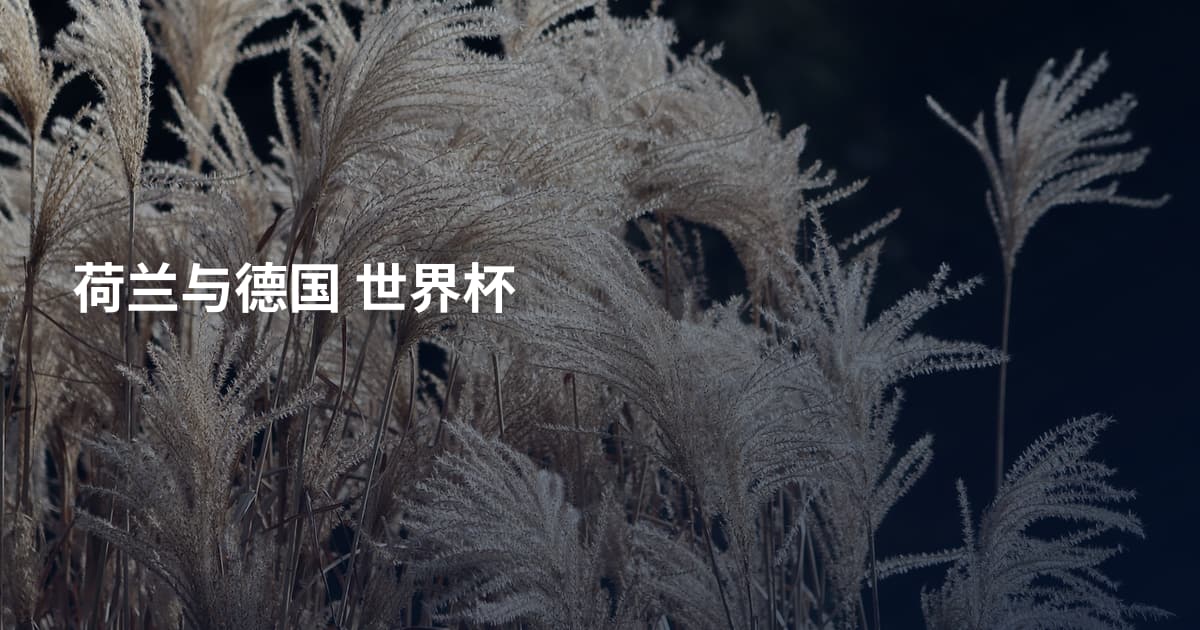 荷兰与德国 世界杯