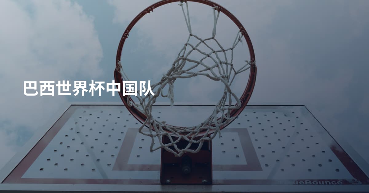 巴西世界杯中国队