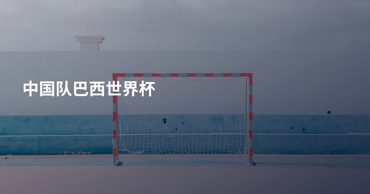 中国队巴西世界杯
