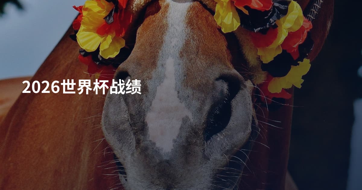 2026世界杯战绩