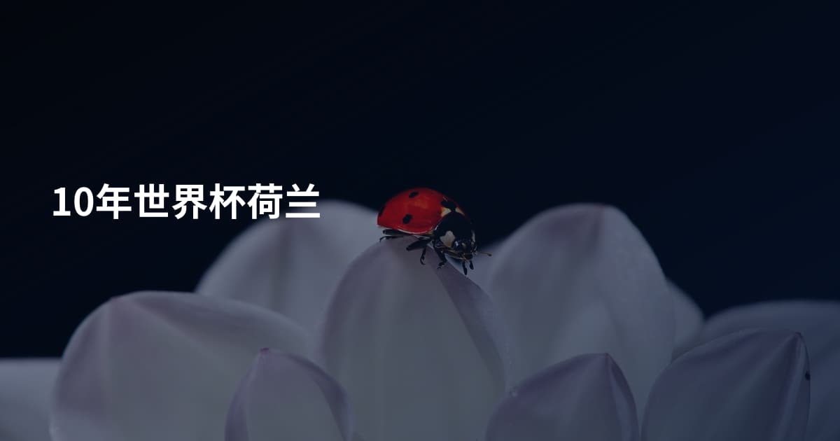 10年世界杯荷兰
