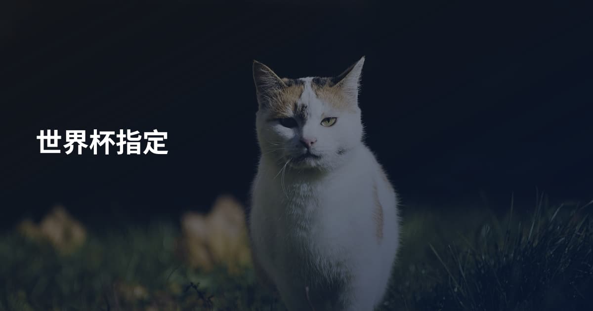 世界杯指定
