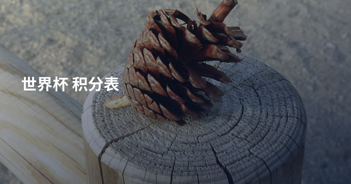 世界杯 积分表