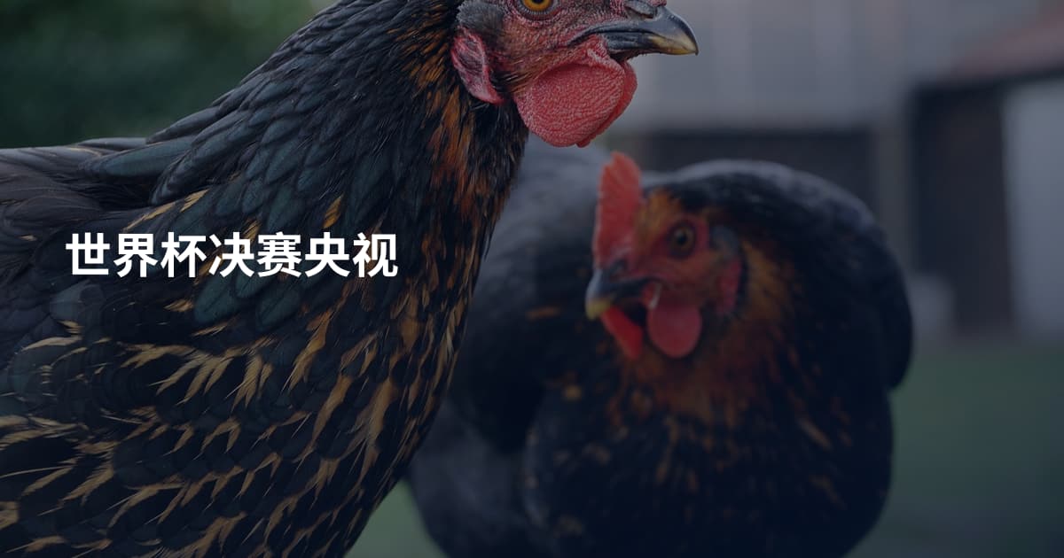 世界杯决赛央视