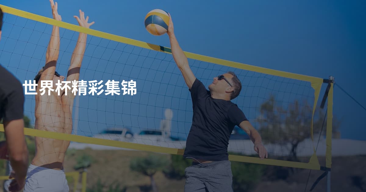 世界杯精彩集锦