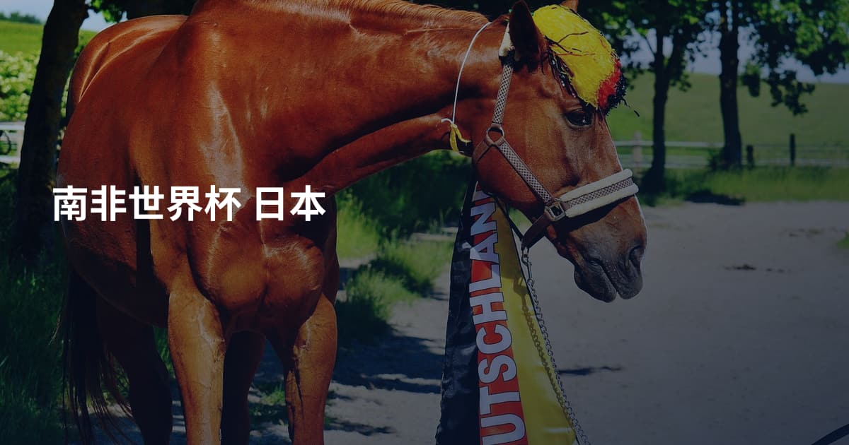 南非世界杯 日本