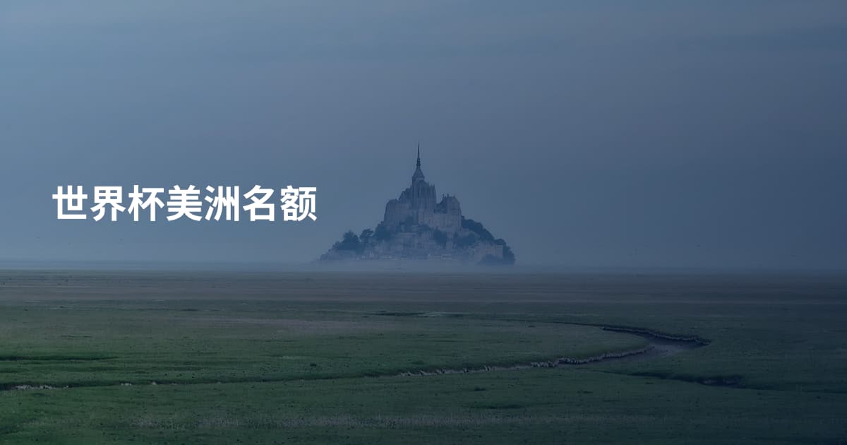 世界杯美洲名额