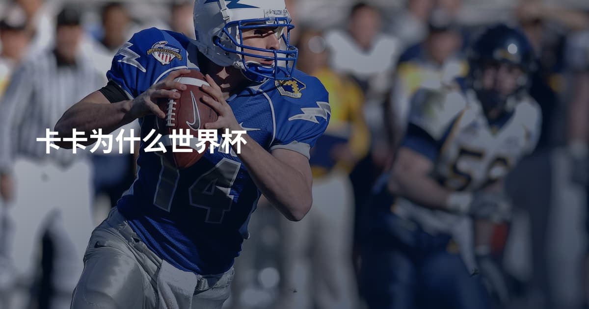卡卡为什么世界杯
