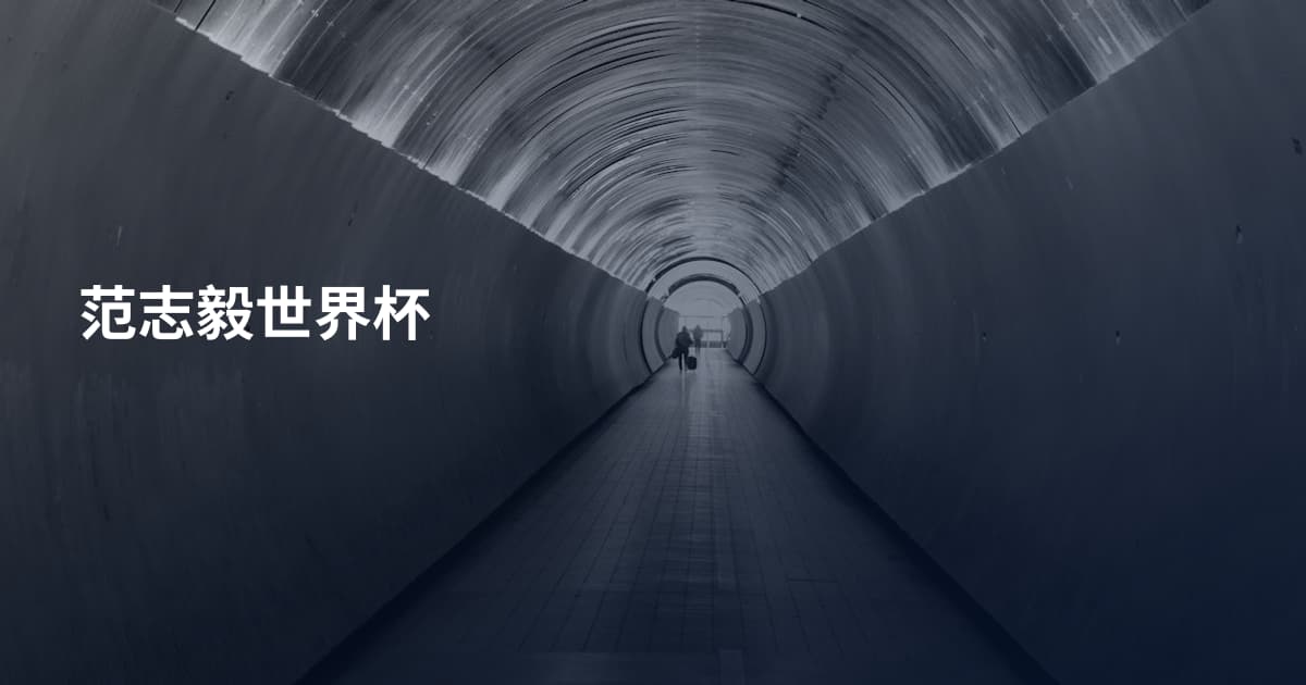 范志毅世界杯