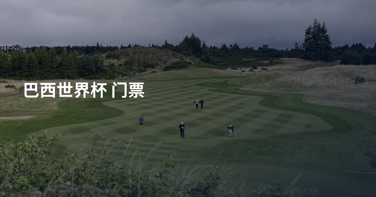 巴西世界杯 门票
