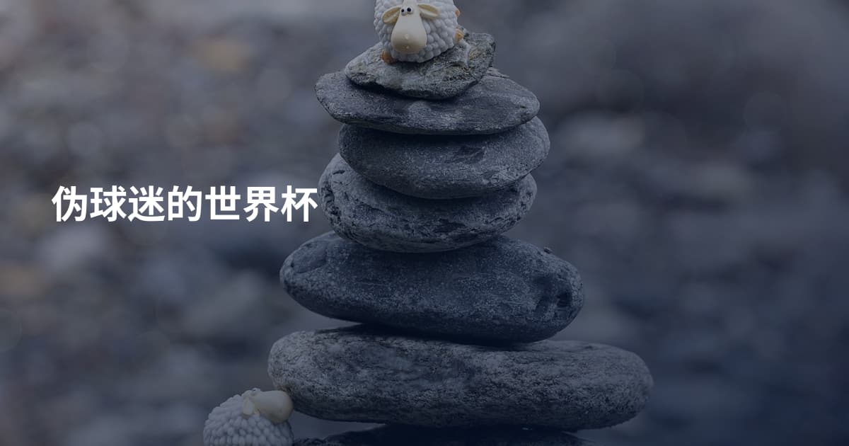 伪球迷的世界杯